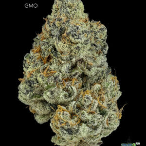 TWISTED LEAF GARDENS - GMO - AAAA+