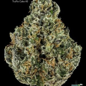 TRUFFLE CAKE #5 - AAAAA+