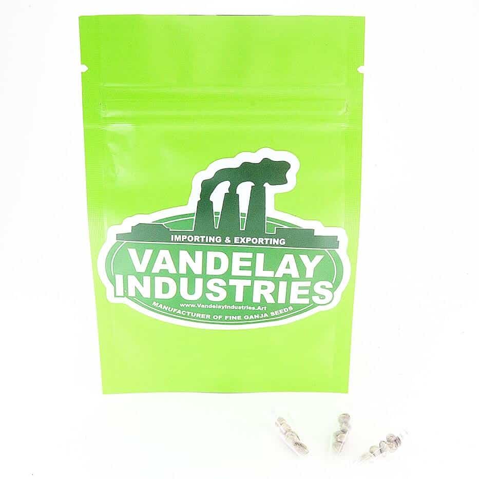 Vandelay Industries - Seeds - Puffer Fish Skunk