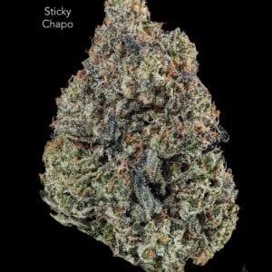 TERPY VIBES - STICKY CHAPO - AAAA+