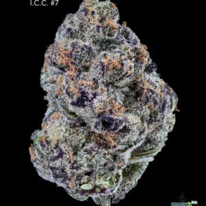 DOPPLER - ICE CREAM CAKE #7 - AAAA