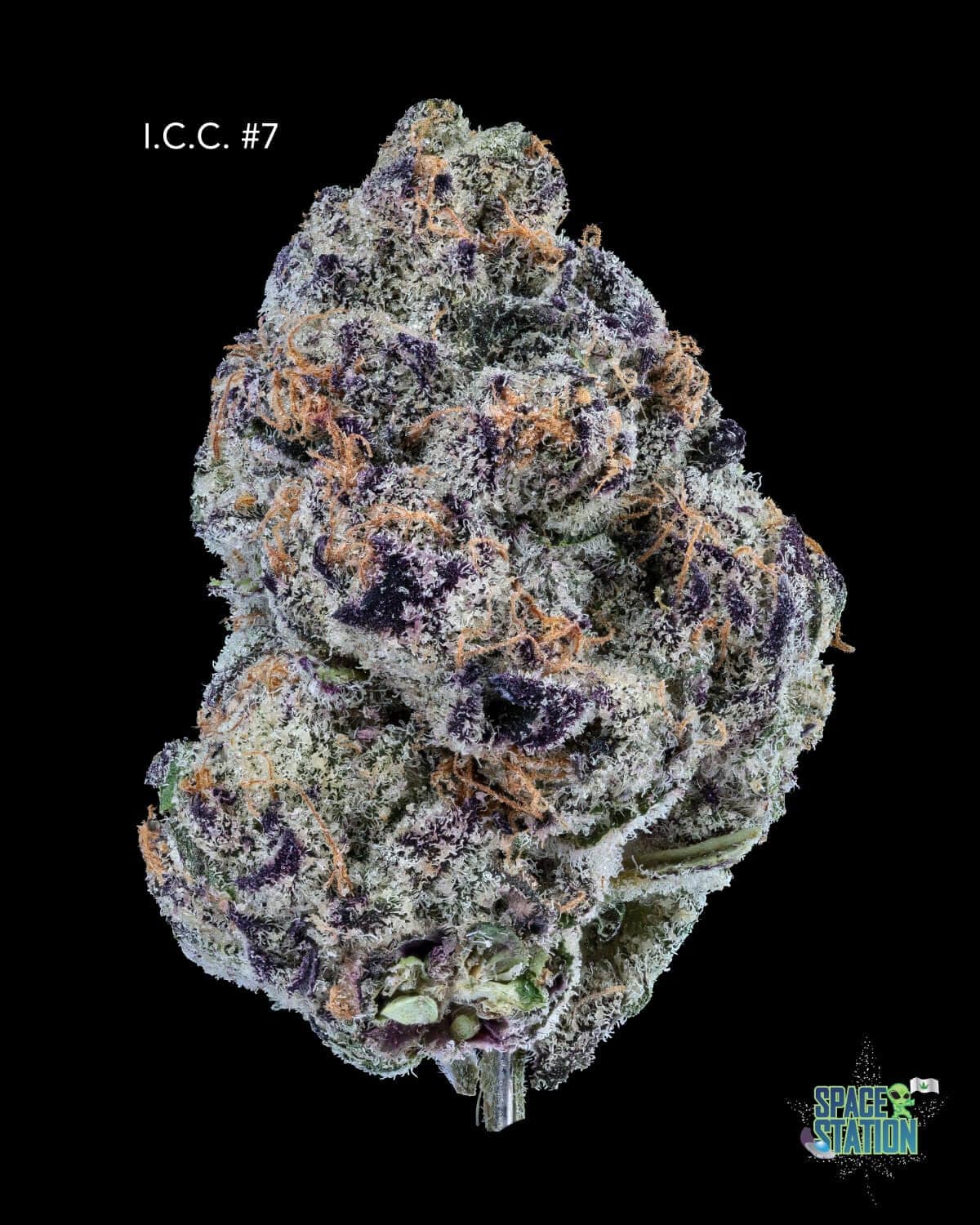 DOPPLER - ICE CREAM CAKE #7 - AAAA