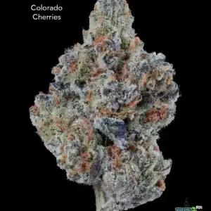 DOPPLER - COLORADO CHERRIES - AAAA