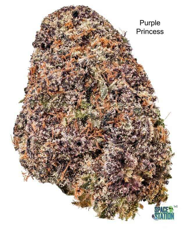 7GRAMS $25 - PURPLE PRINCESS - AAA