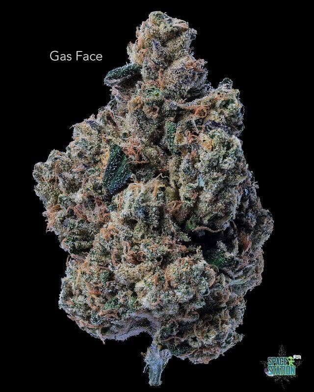 DOPPLER - GAS FACE - AAAA