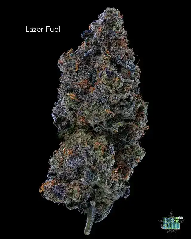 PACIFIC BUD BOYS - LAZER FUEL - AAAAA