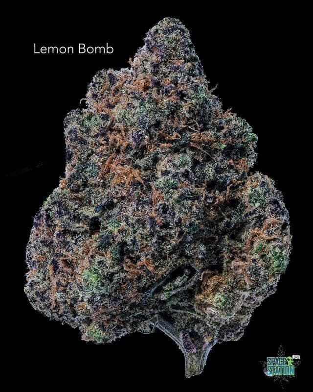 SUNSHINE COAST - LEMON BOMB - AAA+