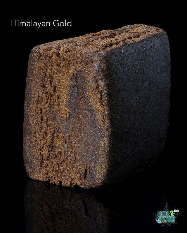 HIMALAYAN GOLD HASH - (10 GRAMS $40)
