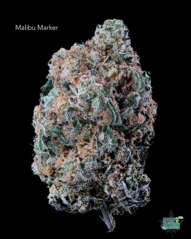 1 OUNCE $75 - 2 OUNCES $125 - MALIBU MARKER - AA+