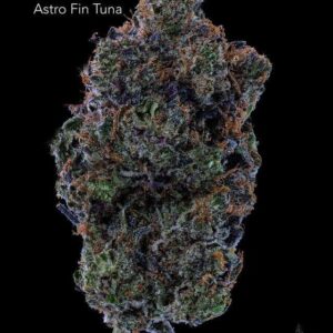 GASTRONAUT CANNABIS - ASTRO FIN TUNA