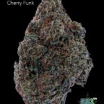7GRAMS $25 - CHERRY FUNK - AAA