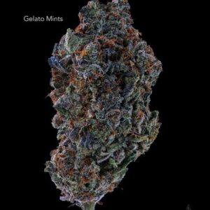 7GRAMS $25 - GELATO MINTS - AAA
