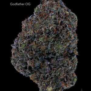 GASTRONAUT CANNABIS - GODFATHER OG