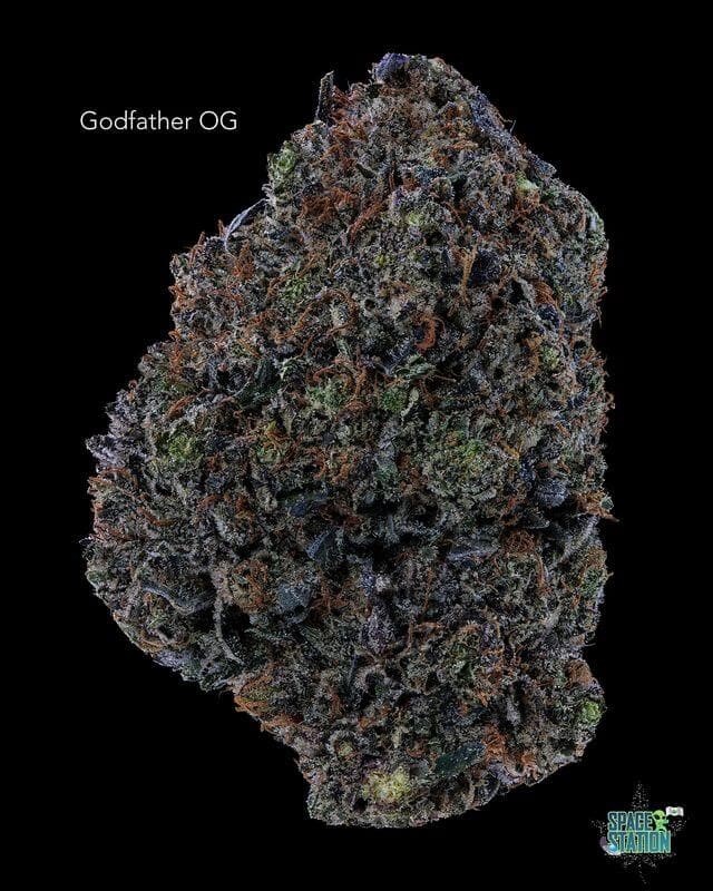 GASTRONAUT CANNABIS - GODFATHER OG