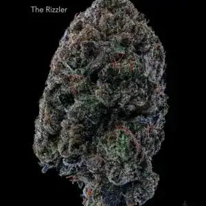 THE RIZZLER - AAAA+