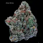 1 OUNCE $75 - 2 OUNCES $125 - ALIEN MINTS - AA+