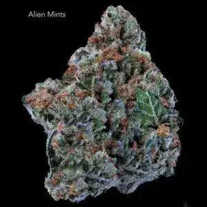 1 OUNCE $75 - 2 OUNCES $125 - ALIEN MINTS - AA+