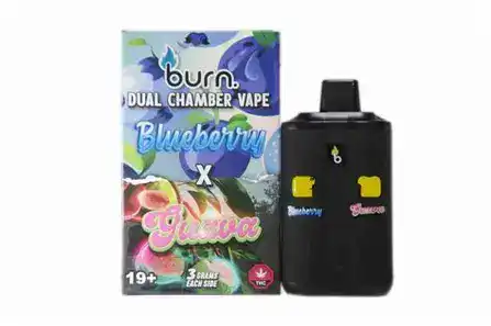 BURN LIFESTYLE CO - 6 GRAM DUAL CHAMBER DISPOSABLE VAPE - BLUEBERRY X GUAVA