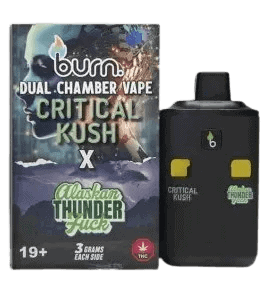 BURN LIFESTYLE CO - 6 GRAM DUAL CHAMBER DISPOSABLE VAPE - CRITICAL KUSH X ALASKAN THUNDERFUCK