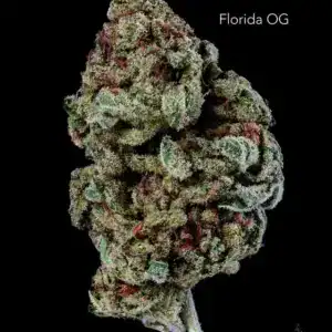 1 OUNCE $60 - 2 OUNCES $100 - FLORIDA OG - AA