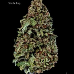 1 OUNCE $60 - 2 OUNCES $100 - VANILLA FOG - AA