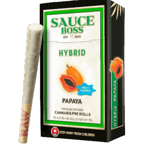SAUCE BOSS - LIVE RESIN/LIQUID DIAMOND INFUSED PREROLLS - PAPAYA